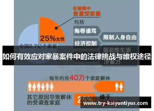 如何有效应对家暴案件中的法律挑战与维权途径