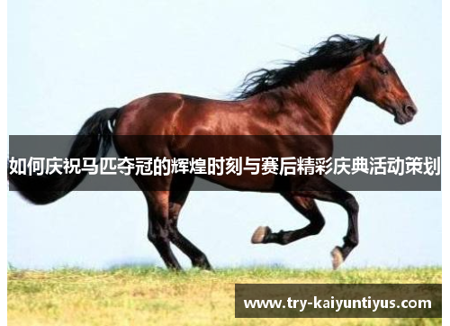 如何庆祝马匹夺冠的辉煌时刻与赛后精彩庆典活动策划