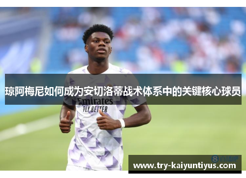 琼阿梅尼如何成为安切洛蒂战术体系中的关键核心球员